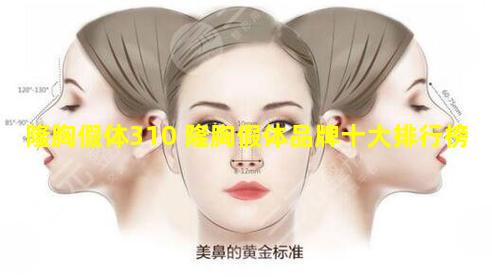 隆胸假体310 隆胸假体品牌十大排行榜